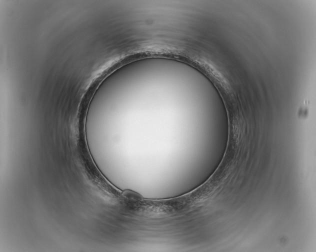 X0000090740488200708101706