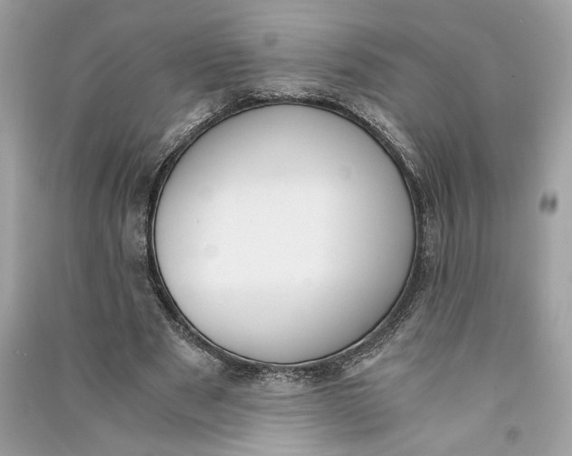 X0000090740489200708101706