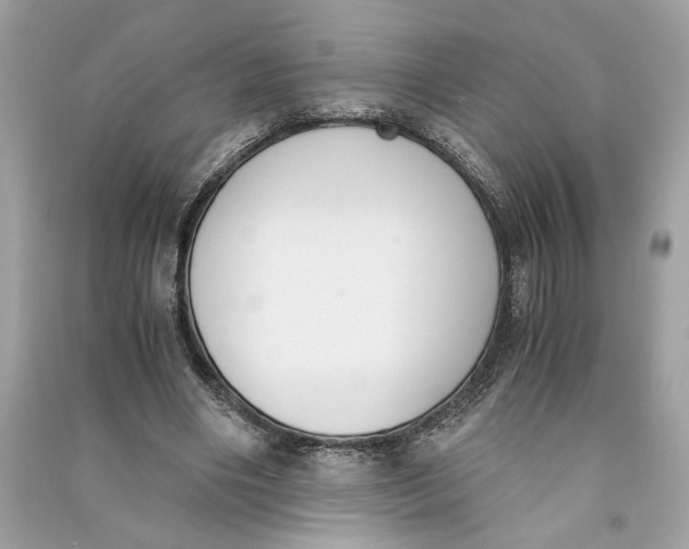 X0000090740490200708101706