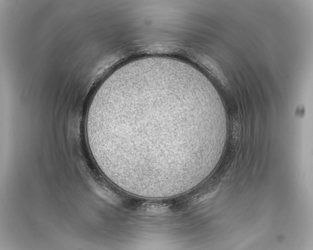 X0000090740491200708101706