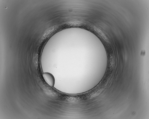 X0000090740494200708101706