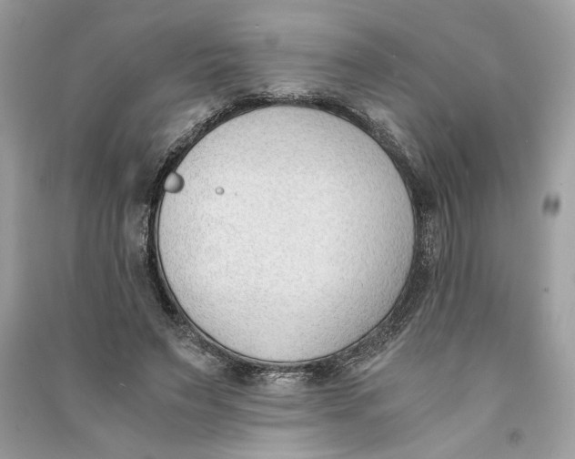 X0000090740495200708101706