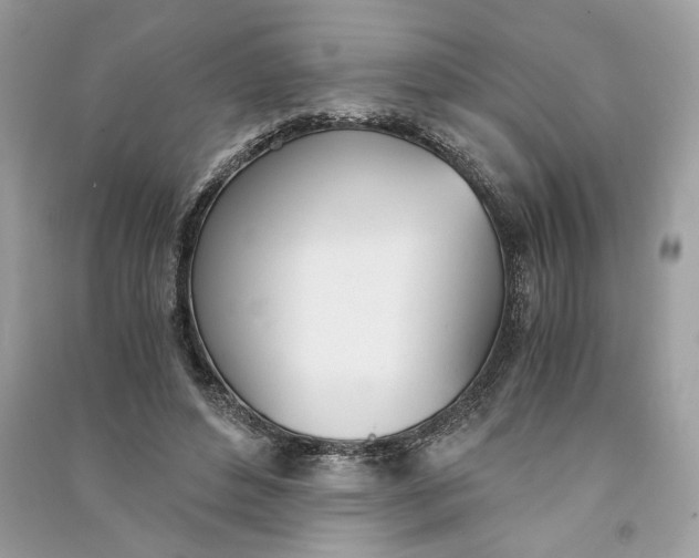 X0000090740496200708101706