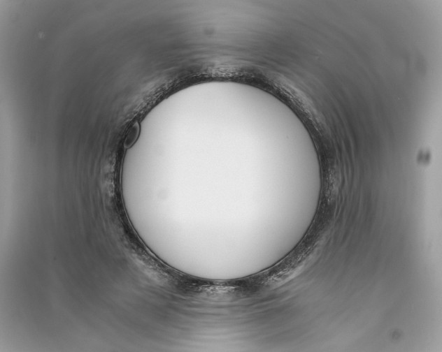 X0000090740497200708101706