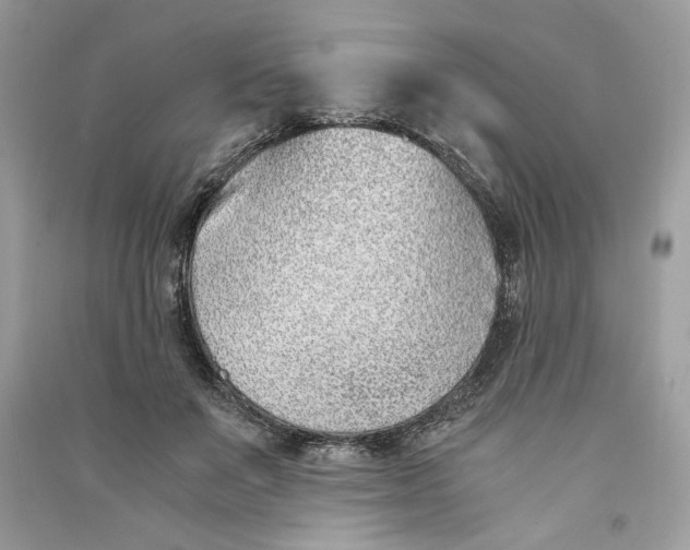 X0000090740503200708101706