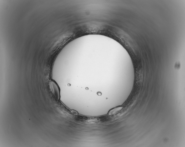 X0000090740505200708101706