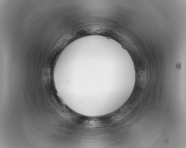 X0000090740506200708101706