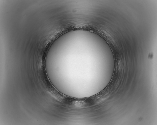 X0000090740508200708101705