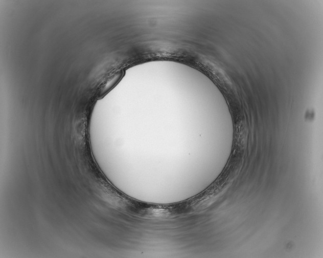 X0000090740509200708101705