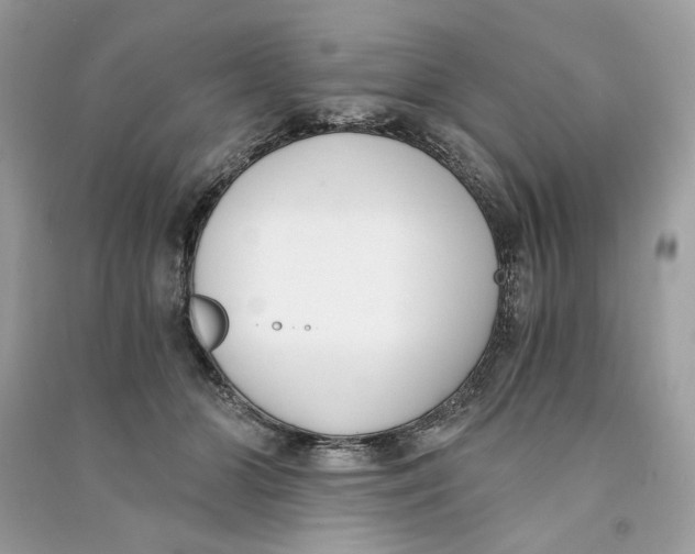 X0000090740510200708101705