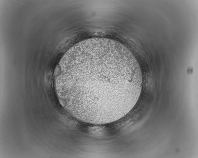 X0000090740511200708101705