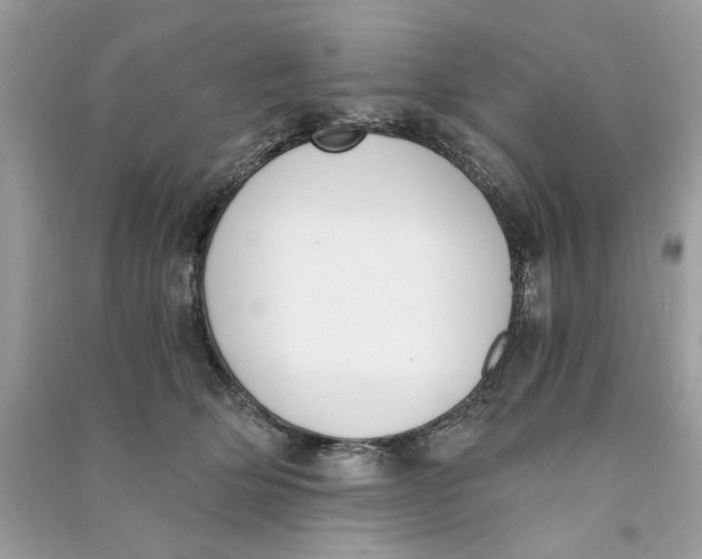 X0000090740514200708101705