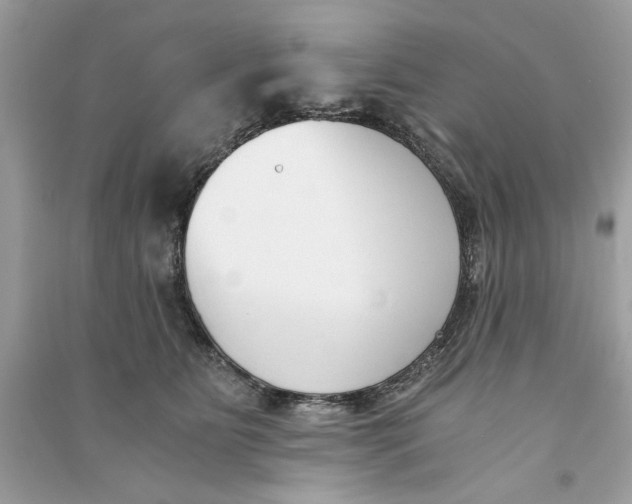 X0000090740515200708101705