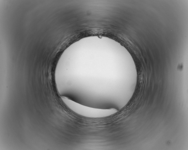 X0000090740516200708101705