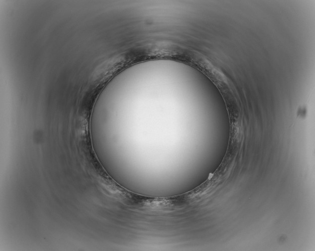 X0000090740517200708101705