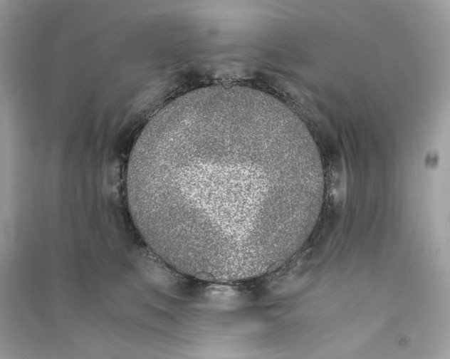 X0000090740519200708101705