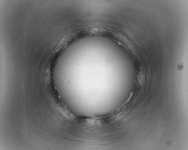 X0000090740520200708101705