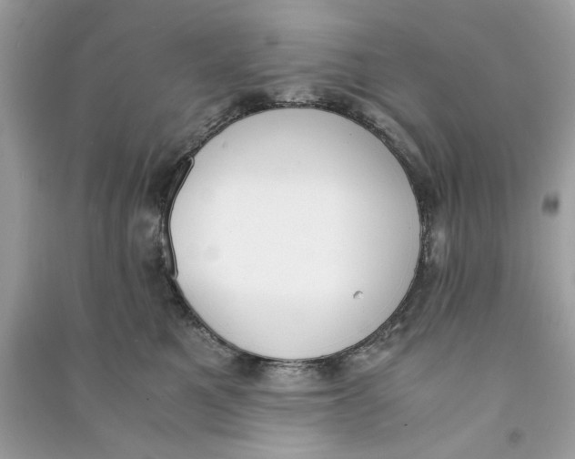 X0000090740521200708101705