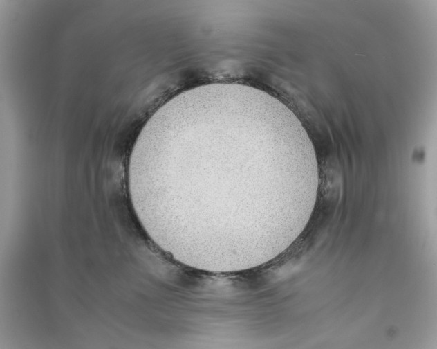 X0000090740523200708101705