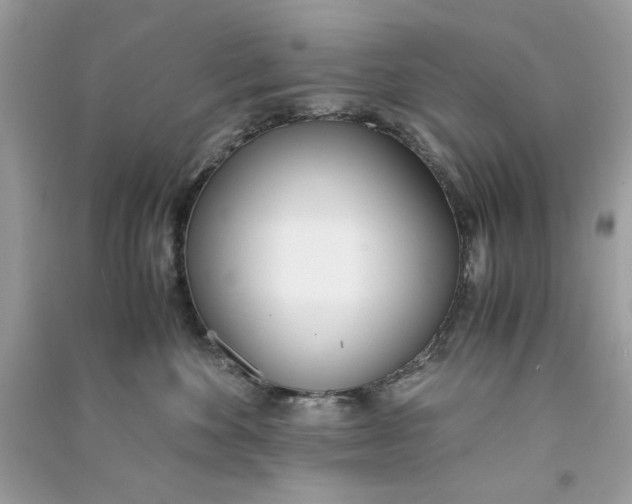 X0000090740524200708101705