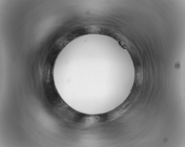 X0000090740525200708101705