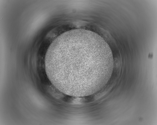 X0000090740527200708101705