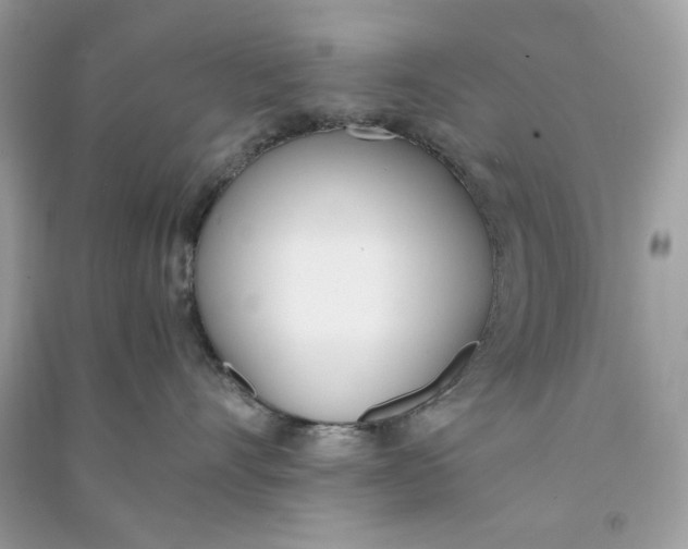 X0000090740528200708101705