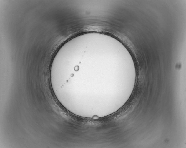 X0000090740529200708101705