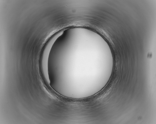 X0000090740530200708101705