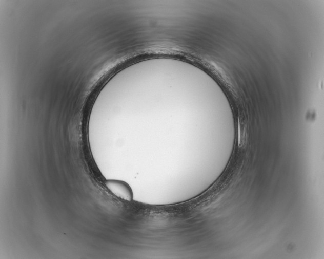 X0000090740531200708101705