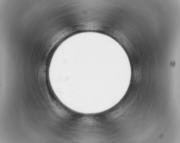 X0000090740534200708101705