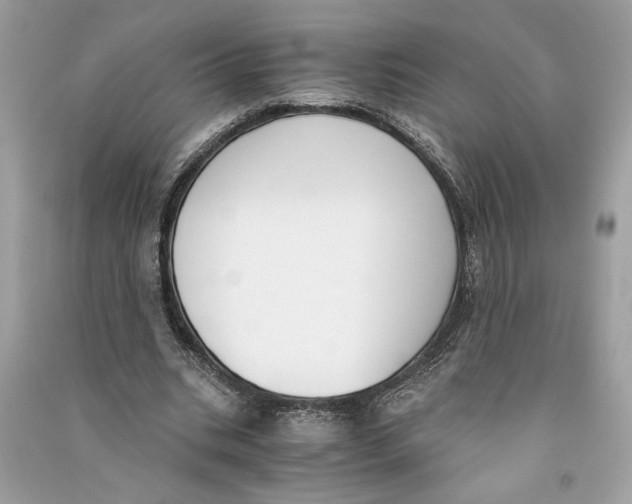 X0000090740535200708101705