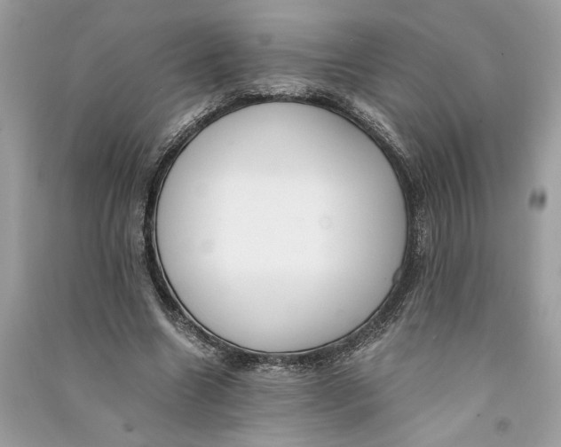 X0000090740538200708101705