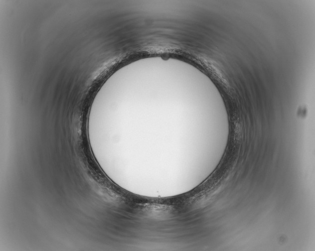 X0000090740539200708101705