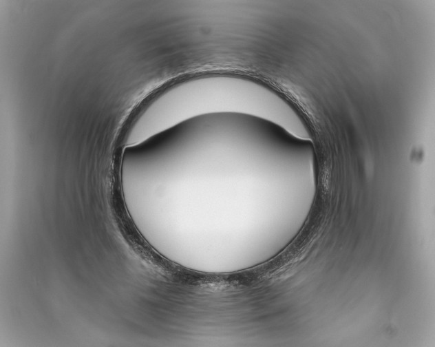 X0000090740540200708101705