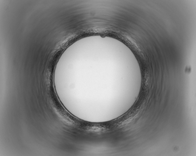 X0000090740542200708101705