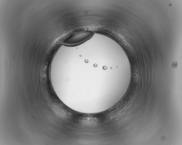 X0000090740543200708101705