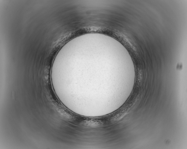 X0000090740545200708101705