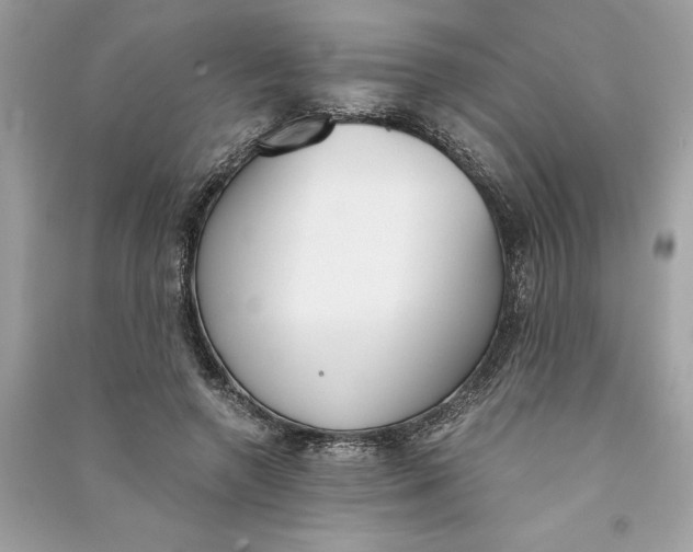 X0000090740546200708101705