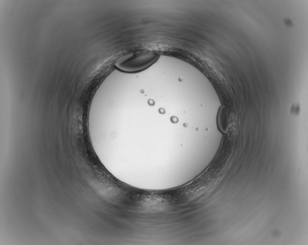 X0000090740547200708101705