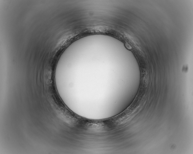 X0000090740548200708101705