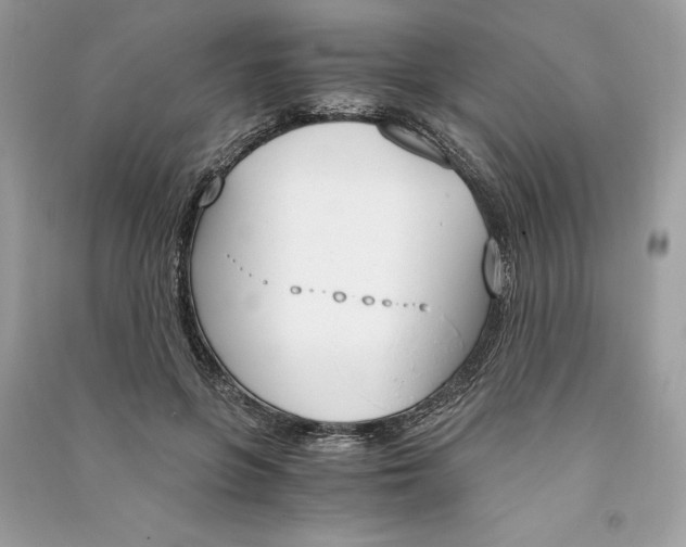 X0000090740551200708101705