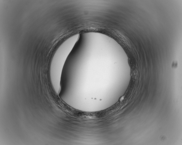 X0000090740552200708101705