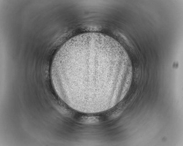 X0000090740553200708101705