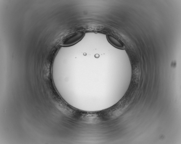 X0000090740554200708101705