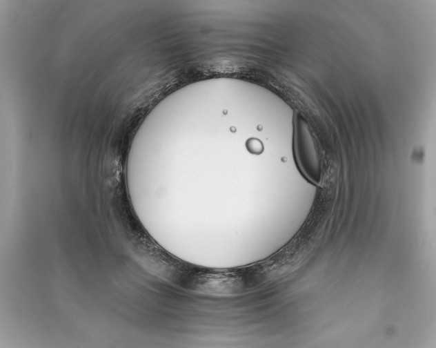 X0000090740555200708101705