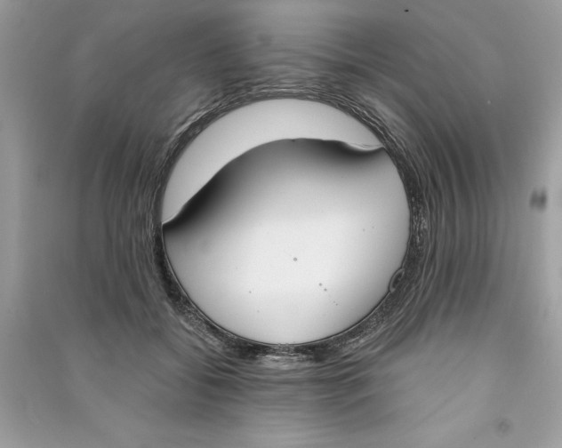 X0000090740556200708101705