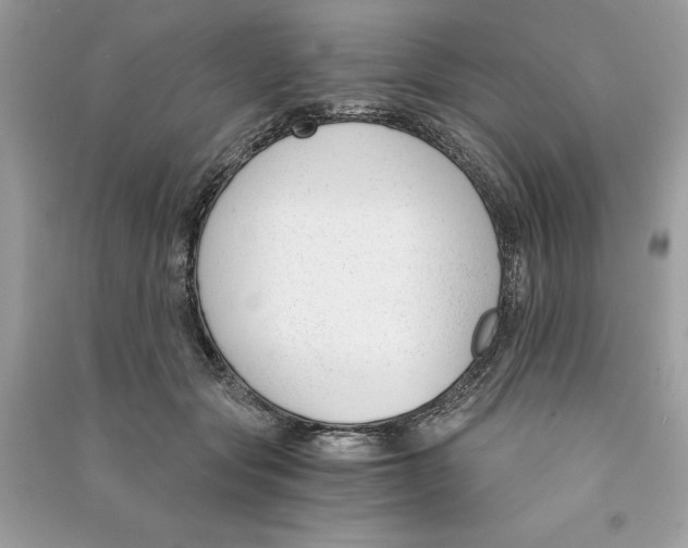 X0000090740557200708101705