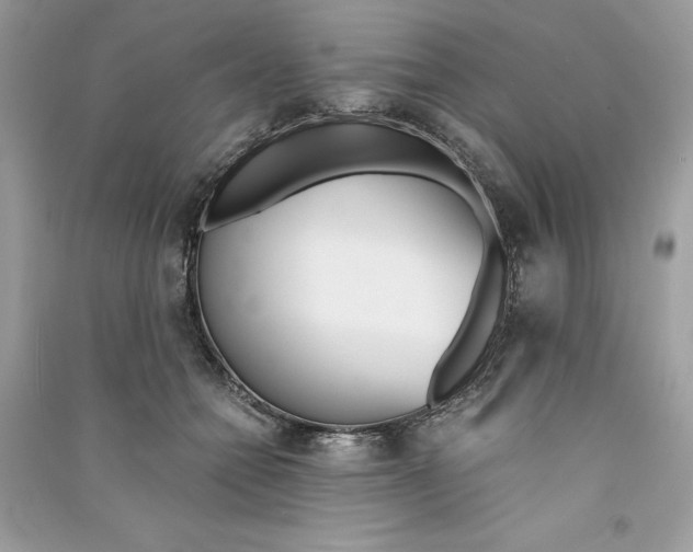 X0000090740558200708101705