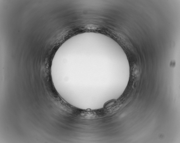 X0000090740559200708101705